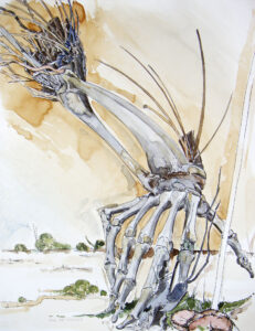 Scharvogel_BlaueHand_1