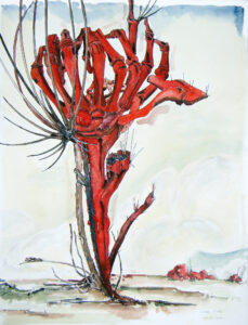 Scharvogel_Roter_Baum_1