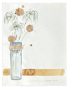 Scharvogel_Zyperngras_04_41x32