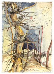 Scharvogel_nachCuvelier_99_66x47
